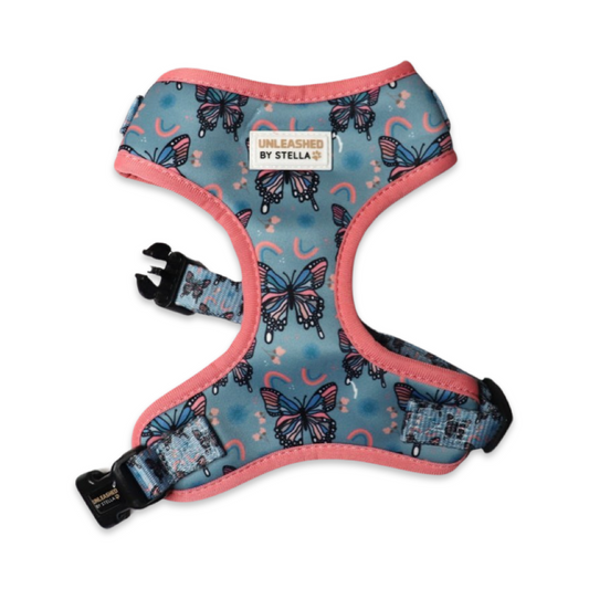 Butterfly Effect - Adjustable Chest Harness